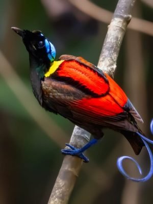 WhatsApp Image 2023-09-05 at 20.49.12